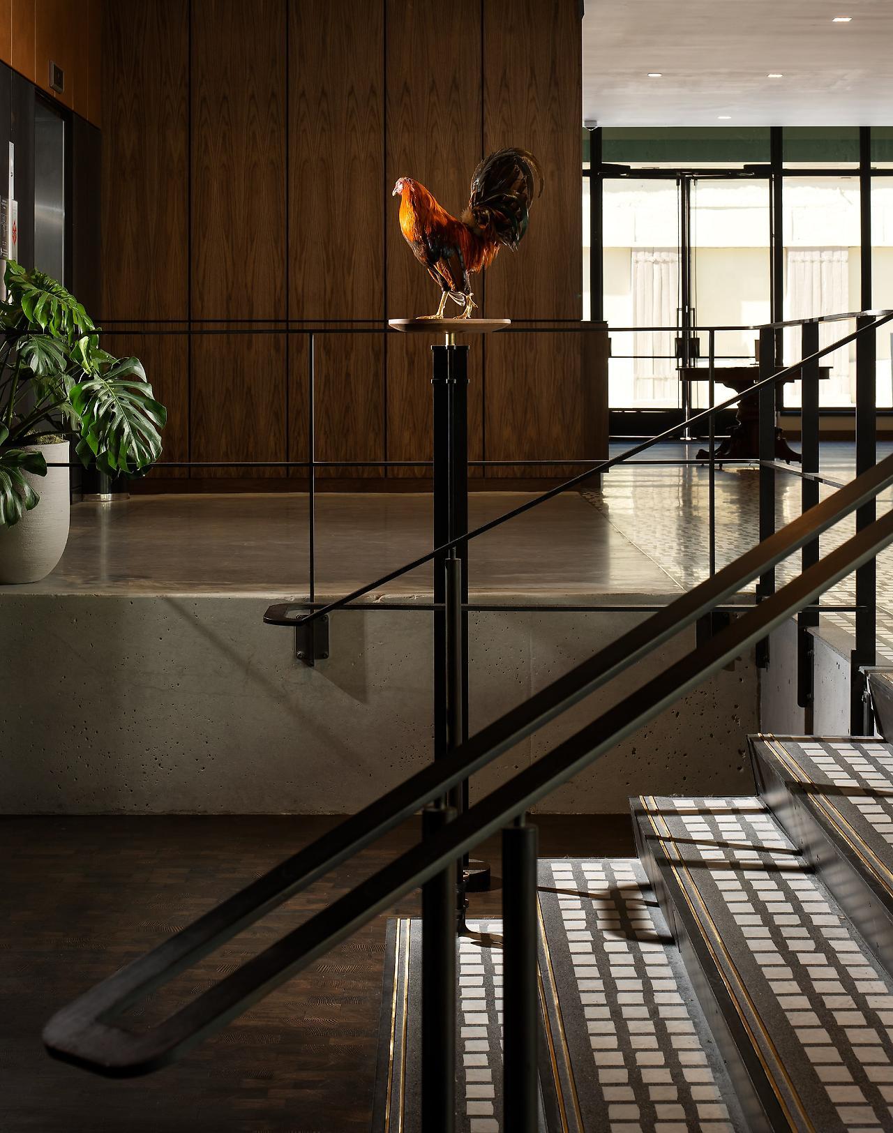 Hotel Haya Tampa Extérieur photo